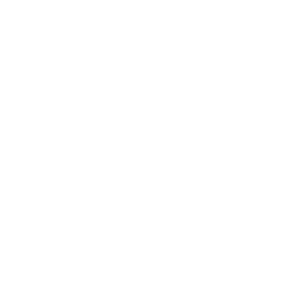 ce logo Newton