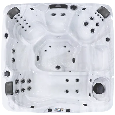 Avalon EC-840L hot tubs for sale in Newton