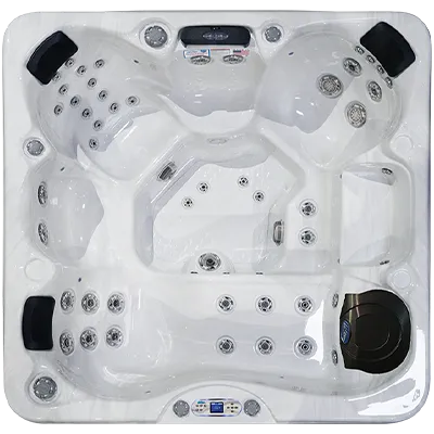 Avalon EC-849L hot tubs for sale in Newton