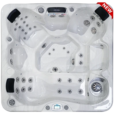 Avalon-X EC-849LX hot tubs for sale in Newton