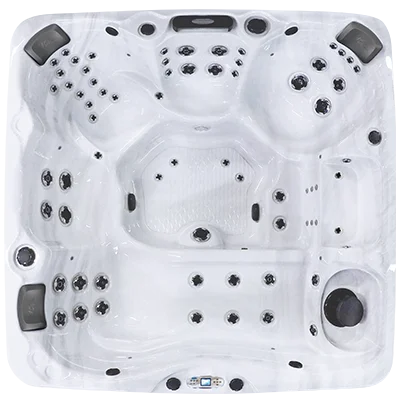 Avalon EC-867L hot tubs for sale in Newton